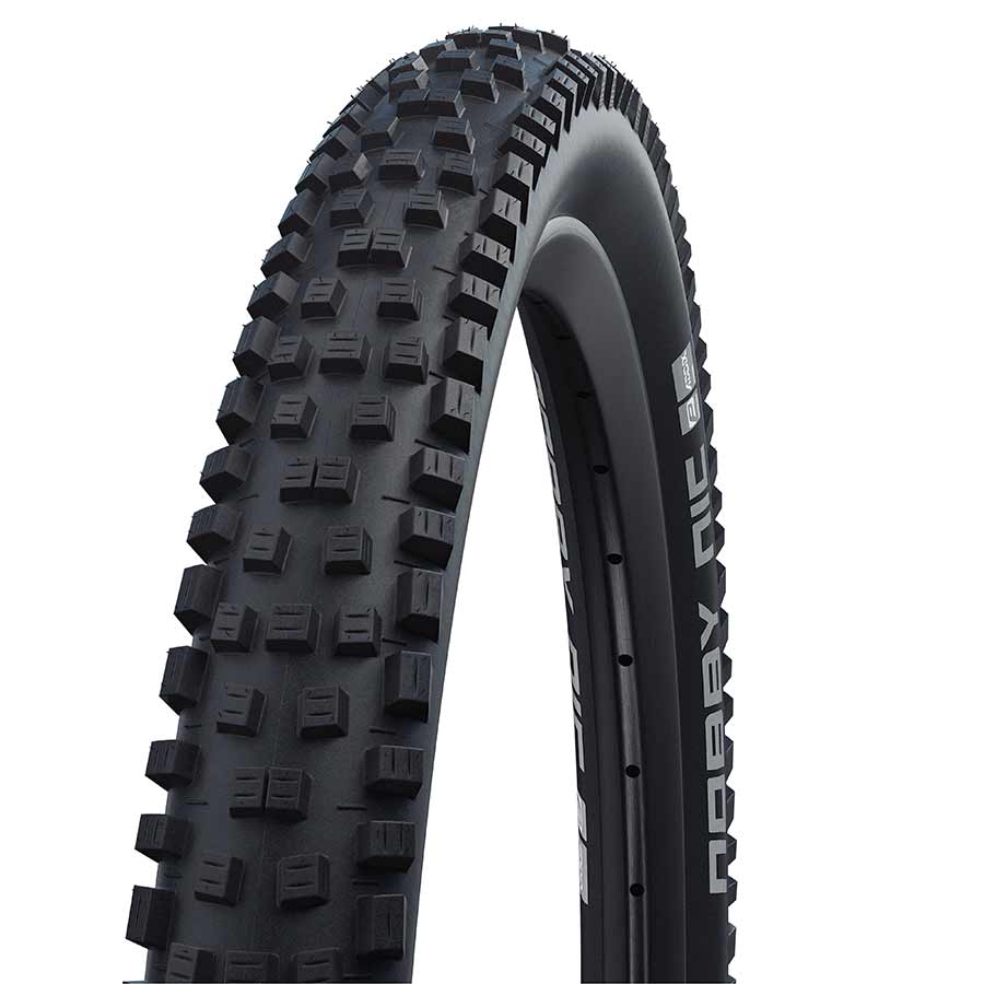 Tire, 29''x2.25, Folding, Tubeless Ready, Addix Performance, Perf, TwinSkin, TL Ready, Black