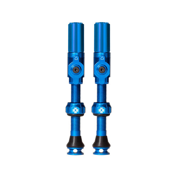 Large, Tubeless Valve, Presta, 45mm, Blue, Pair