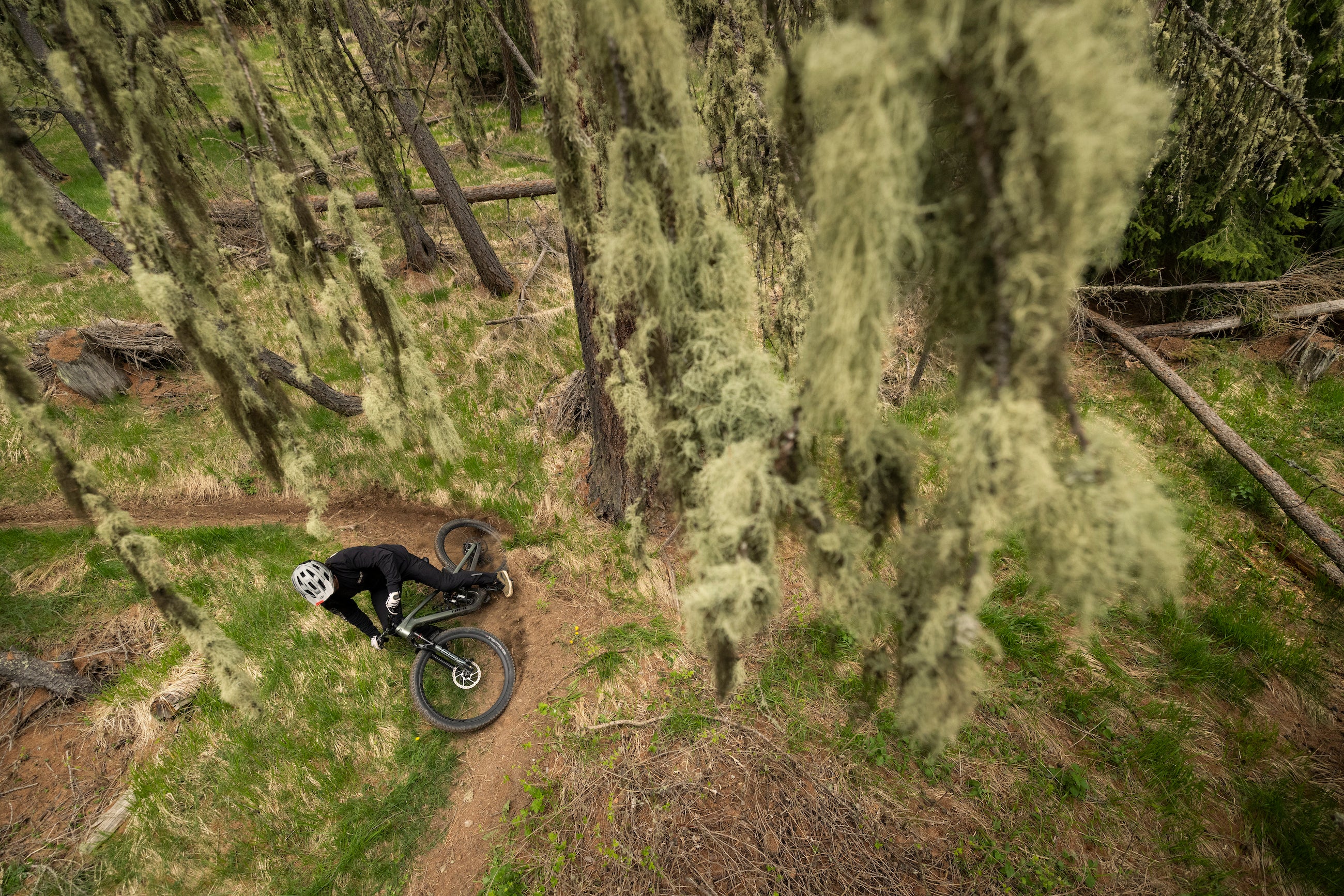 person riding mountain bike through a forest