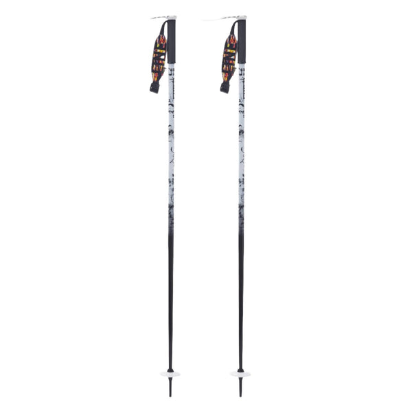 Pin Ski Poles