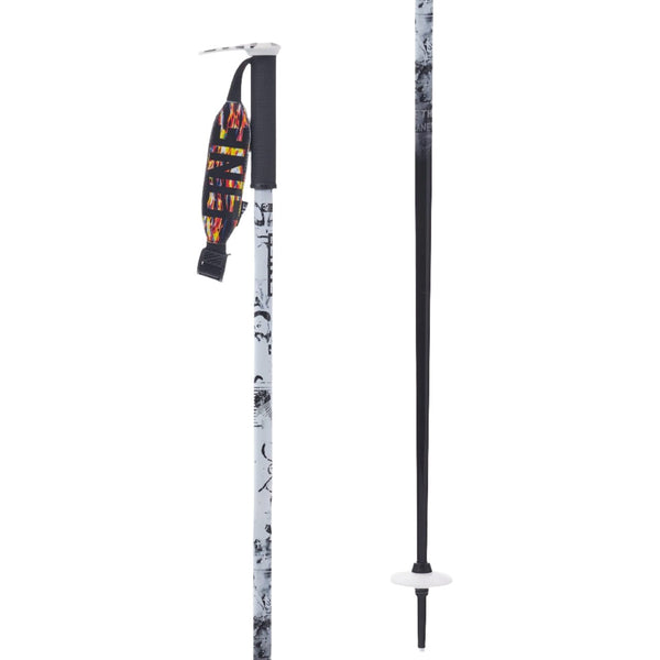 Pin Ski Poles