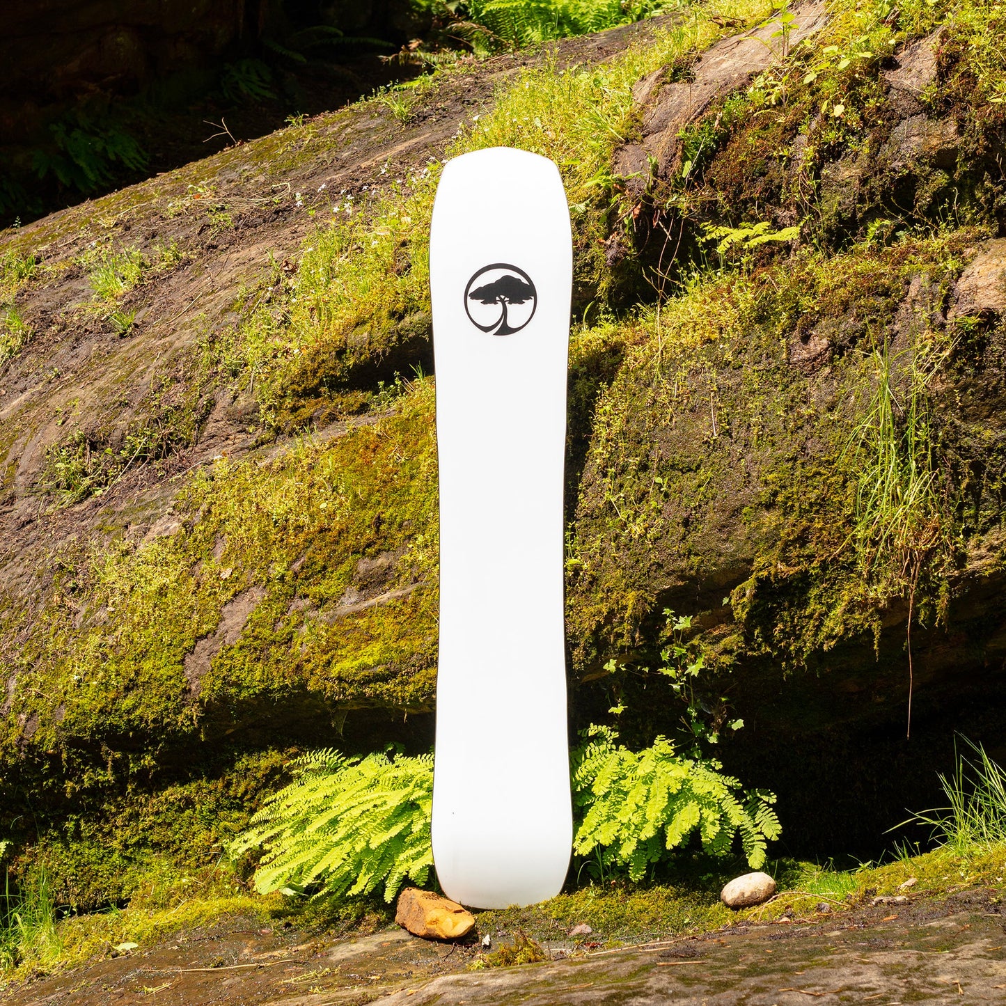 A-Frame Snowboard