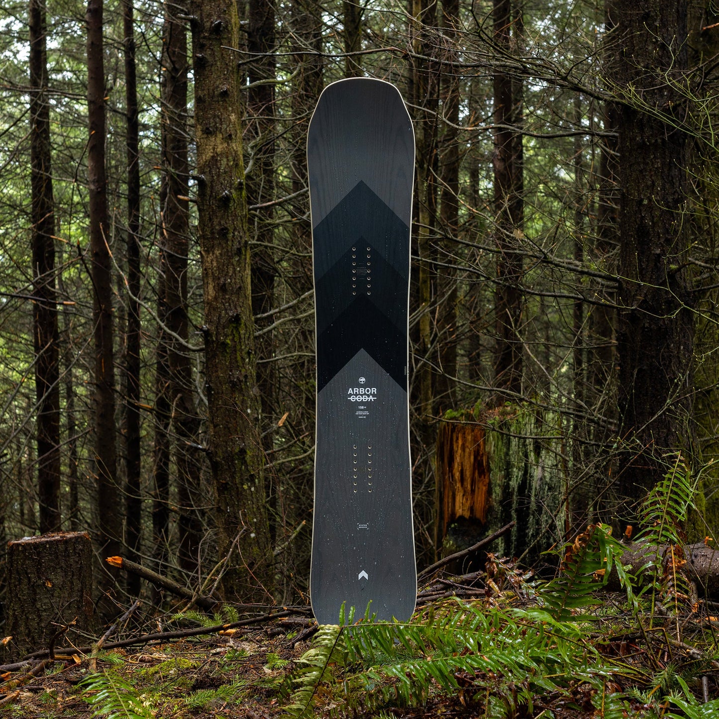 Coda Camber Snowboard