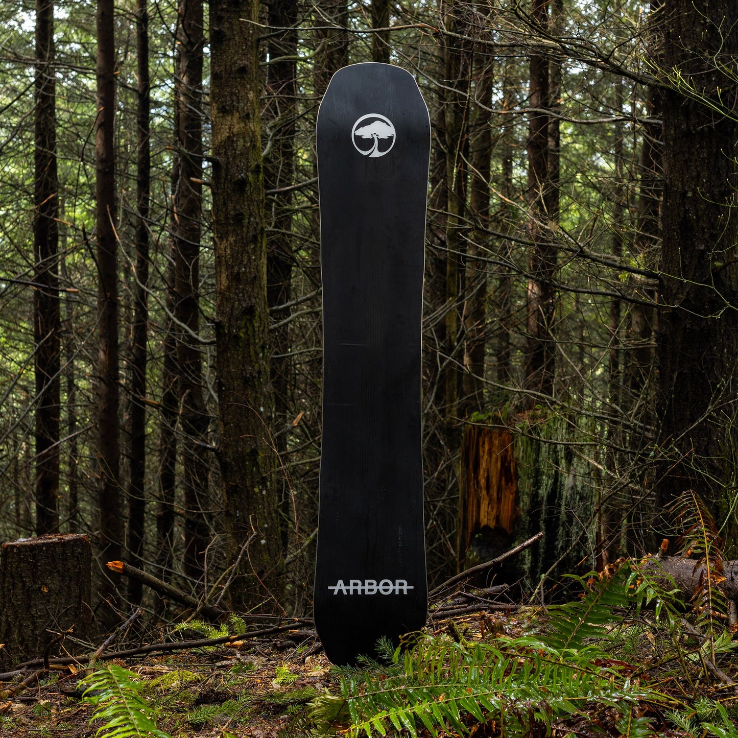 Coda Camber Snowboard