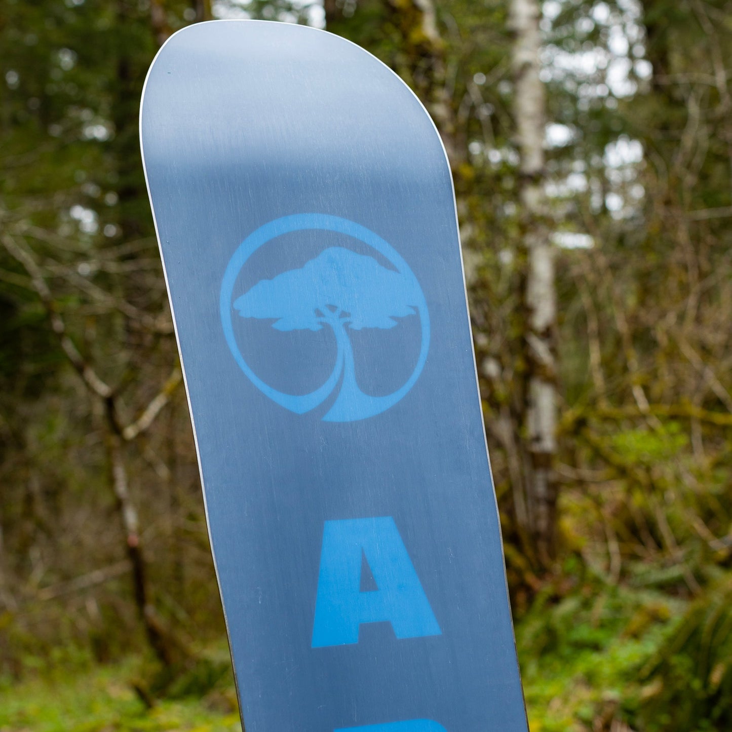 Foundation Rocker Snowboard