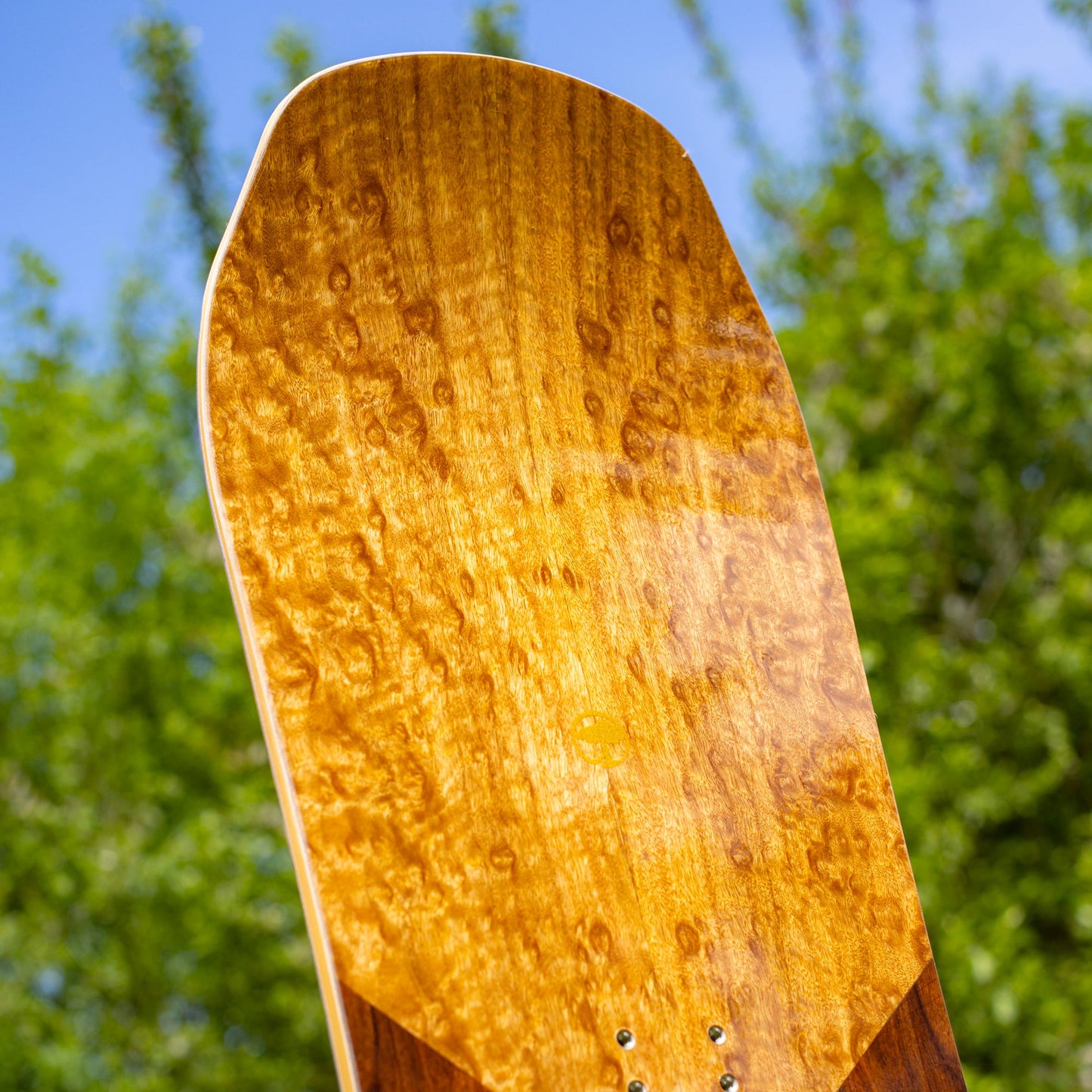 Wasteland Camber Snowboard